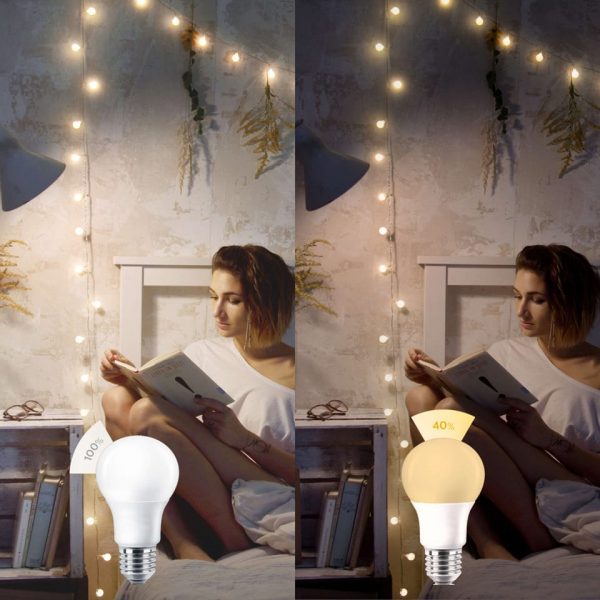 LED Lamps (Bulbs)